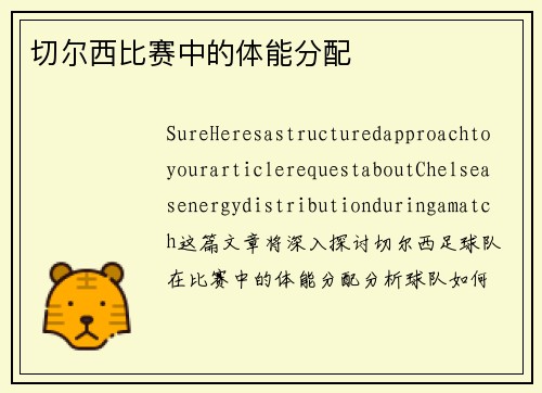 切尔西比赛中的体能分配