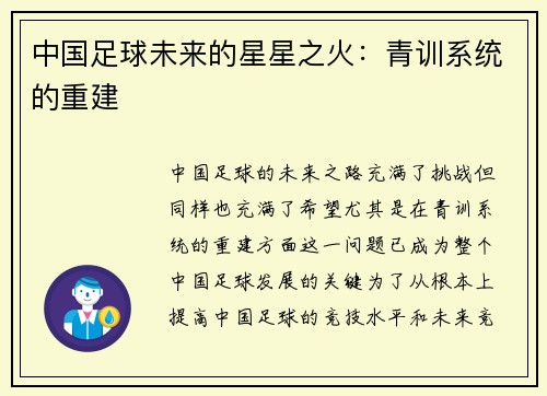 中国足球未来的星星之火：青训系统的重建