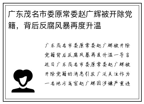 广东茂名市委原常委赵广辉被开除党籍，背后反腐风暴再度升温