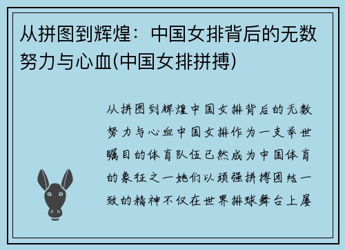 从拼图到辉煌：中国女排背后的无数努力与心血(中国女排拼搏)