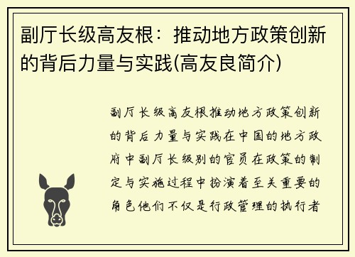 副厅长级高友根:推动地方政策创新的背后力量与实践(高友良简介)